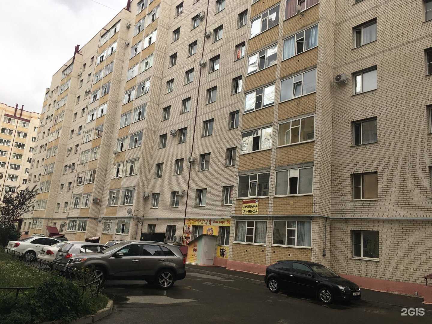 Отзывы на компанию Центр единоборств Виктора Веселова в Ставрополе c фото - фотография 2 из 2