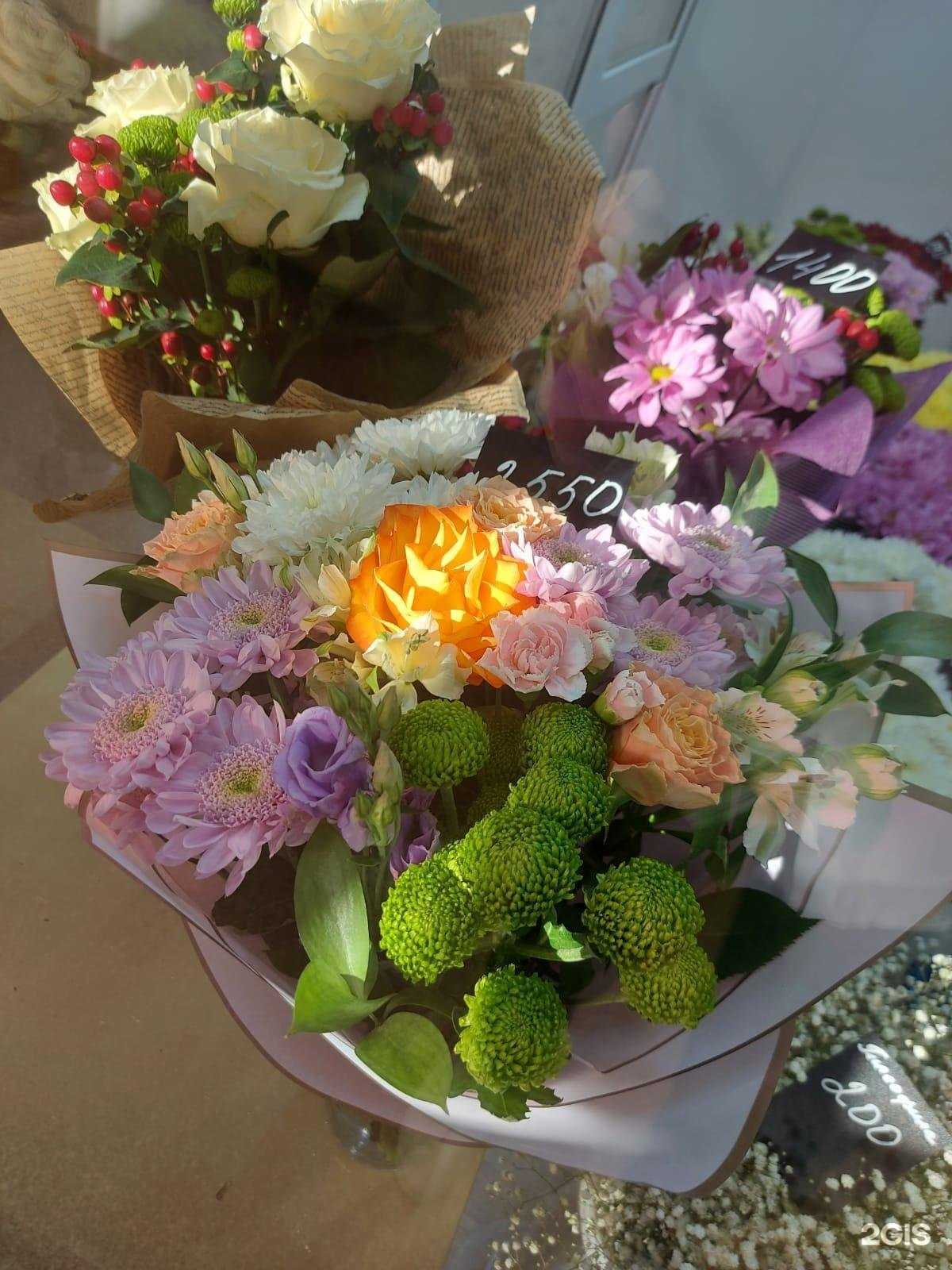 Отзывы на компанию Sakhrose в г. Южно-Сахалинск c фото