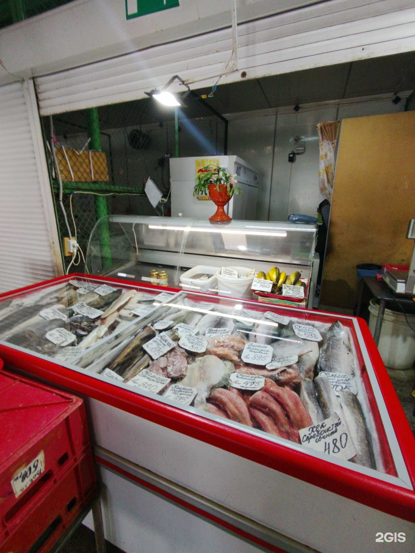 Отзывы на компанию Отдел рыбы в Тольятти c фото