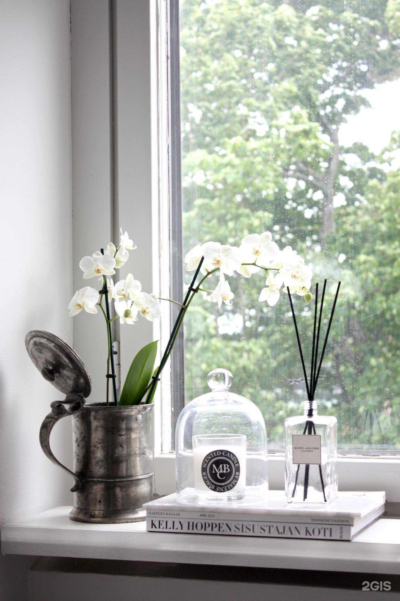 Отзывы на компанию Данке в Новосибирске c фото