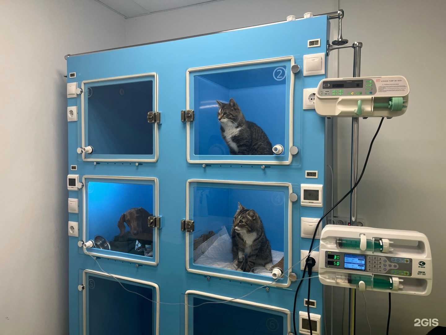 Отзывы на компанию Вива Ла Вита в г. Гатчина c фото