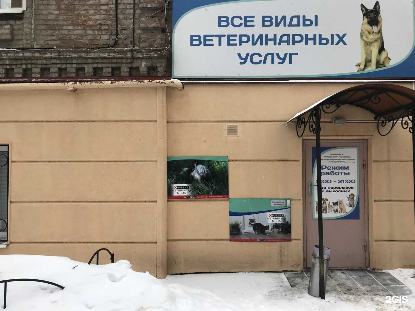 Отзывы на компанию Дон Терьеро в Саратове c фото