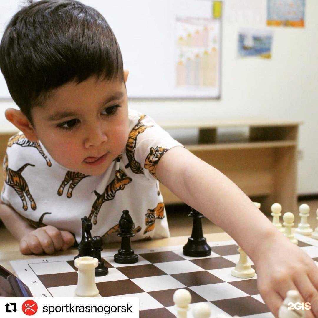 Отзывы на компанию Гарде в Красногорске c фото