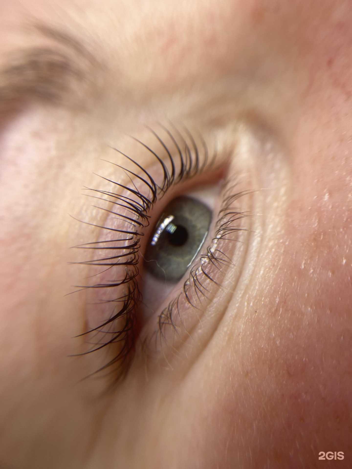 Отзывы на компанию Zmeya.brows в г. Бийск c фото