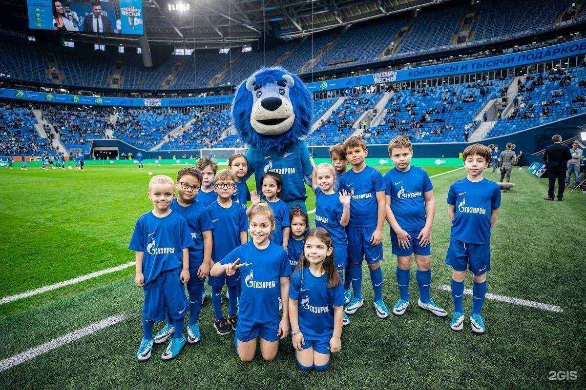 Отзывы на компанию Зенит Чемпионика в г. Рязань c фото