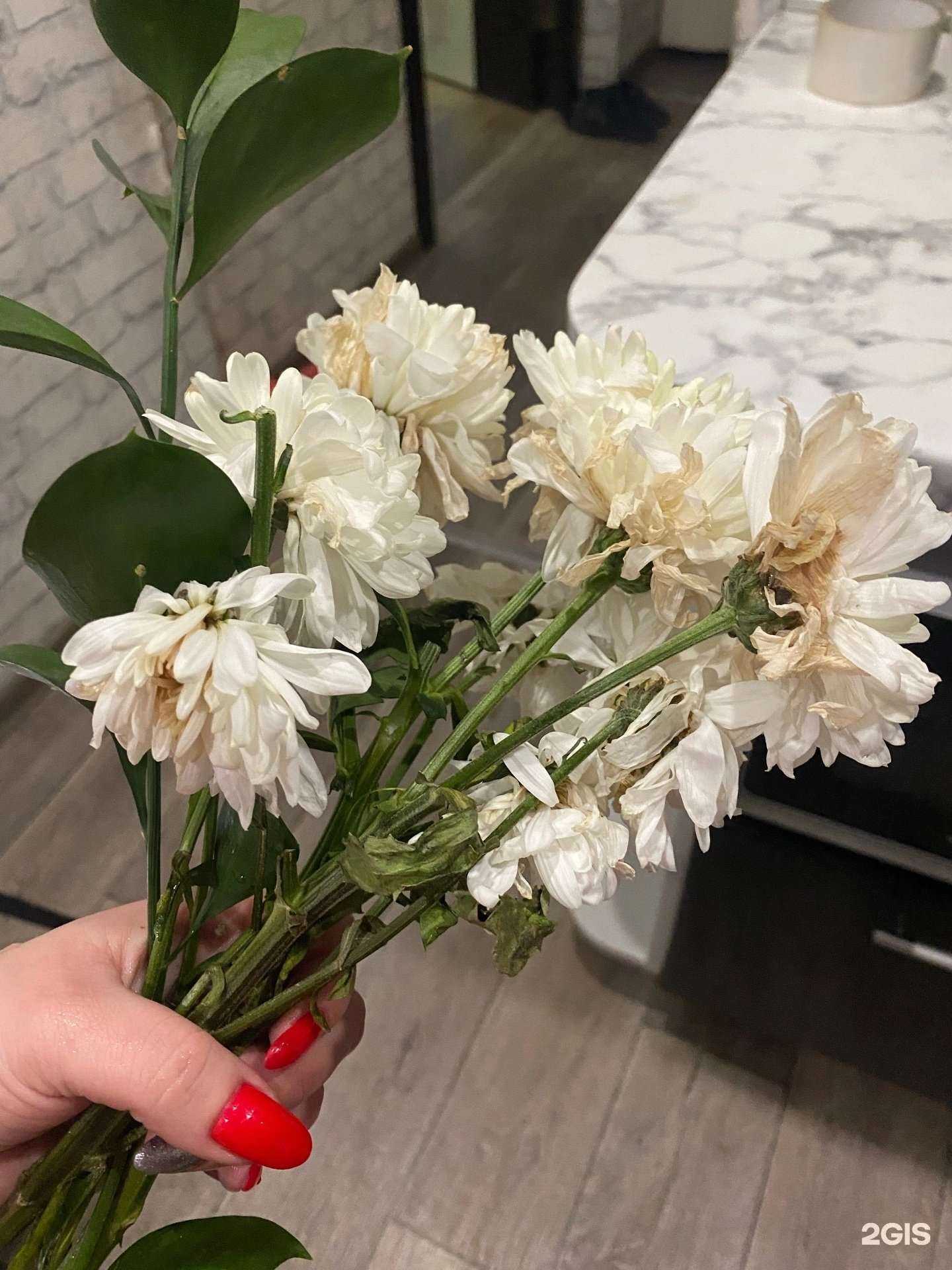 Отзывы на компанию Магазин бытовой химии в Костроме c фото