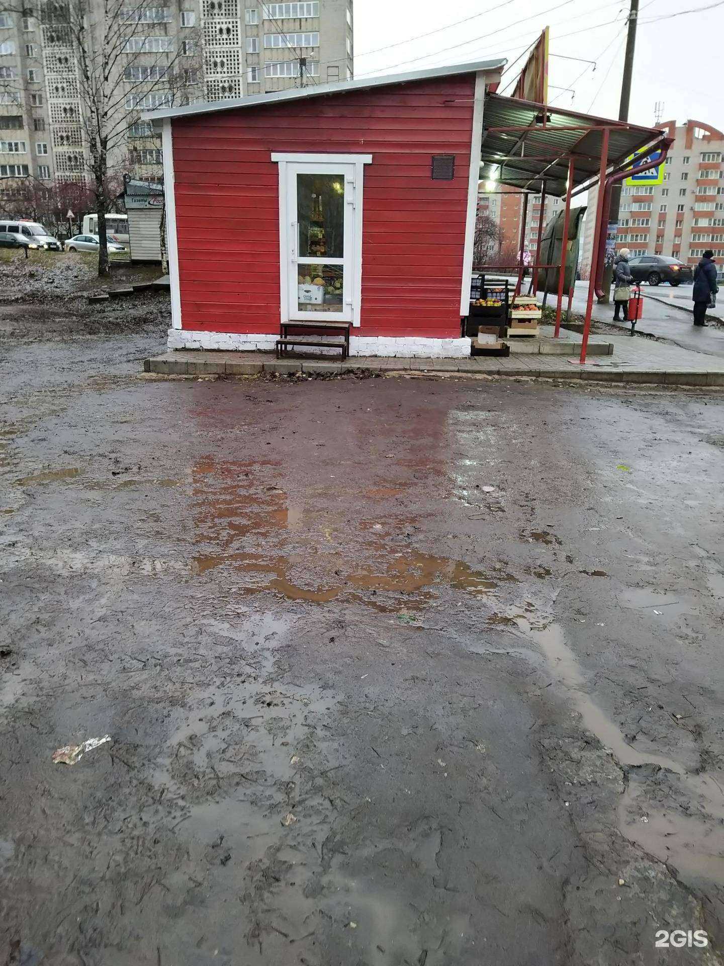 Отзывы на компанию Пиранья в Кирове c фото