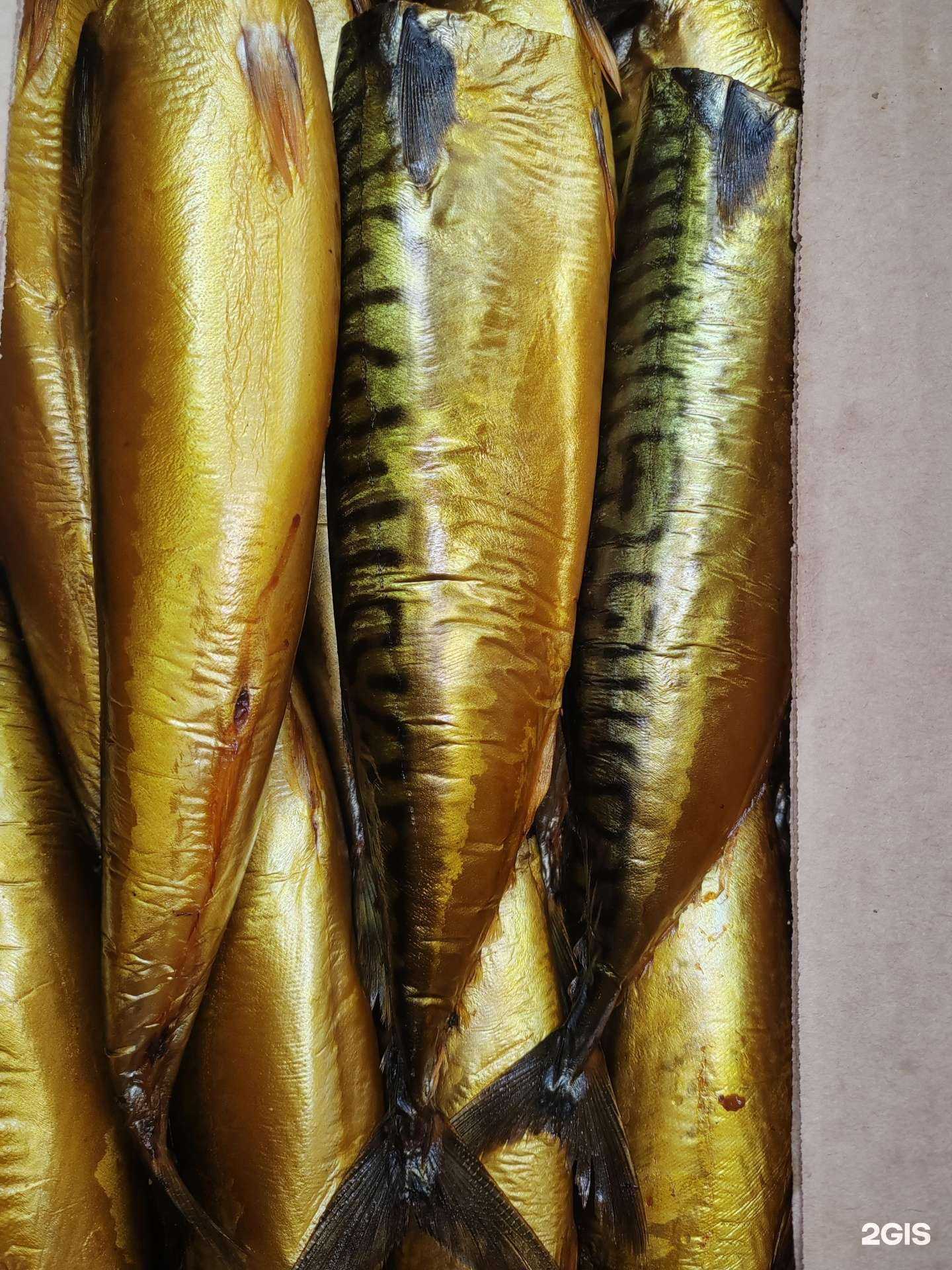 Отзывы на компанию Рыбное место в г. Петрозаводск c фото