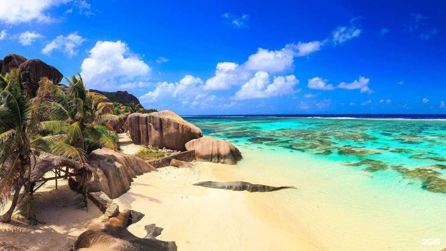 Отзывы на компанию Везувий в Новомосковске c фото