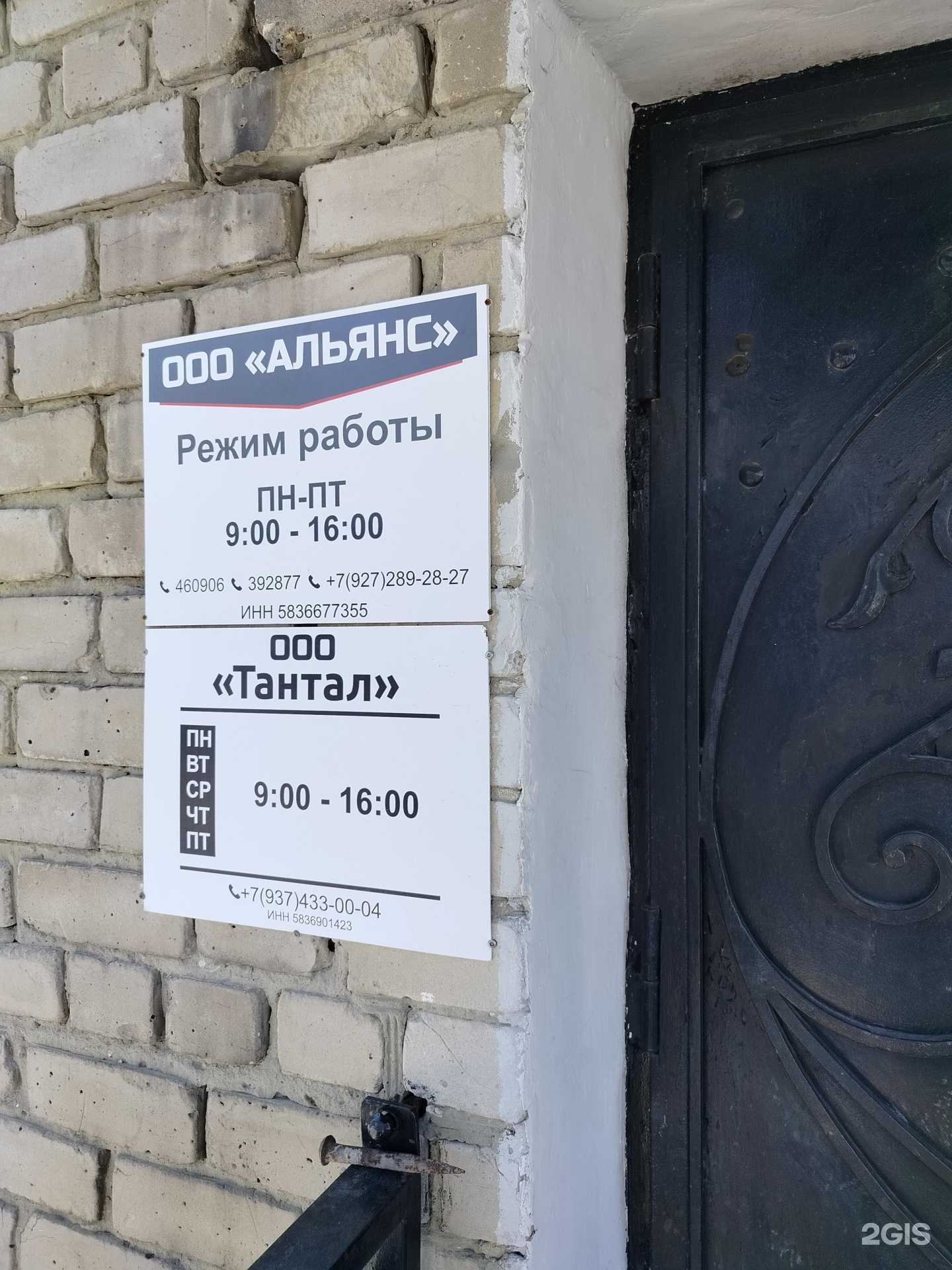 Отзывы на компанию Альянс в Пензе c фото