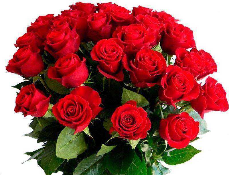 Отзывы на компанию Цветкоff в Тюмени c фото