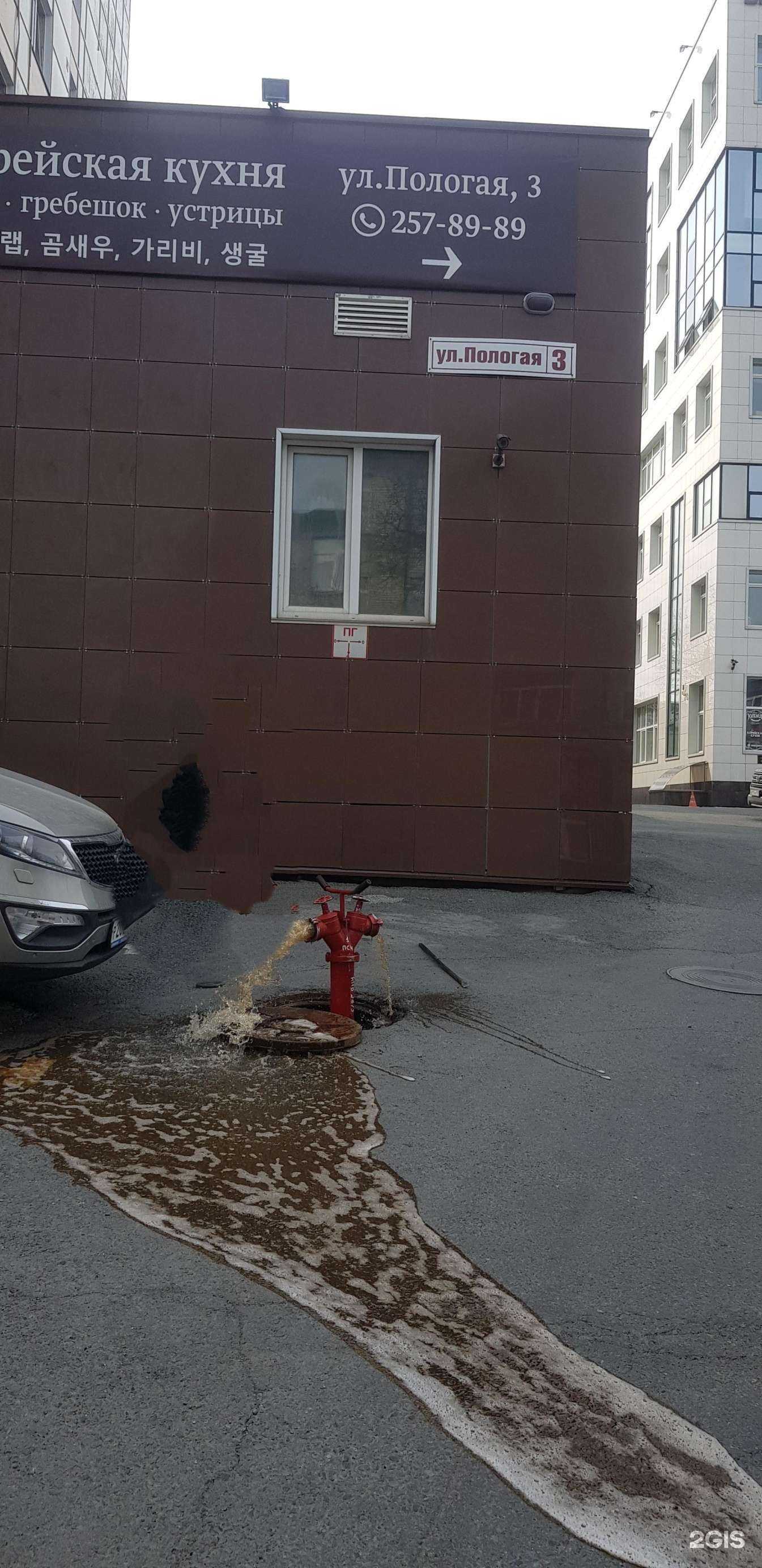 Отзывы на компанию Чистый город в Владивостоке c фото - фотография 2 из 2