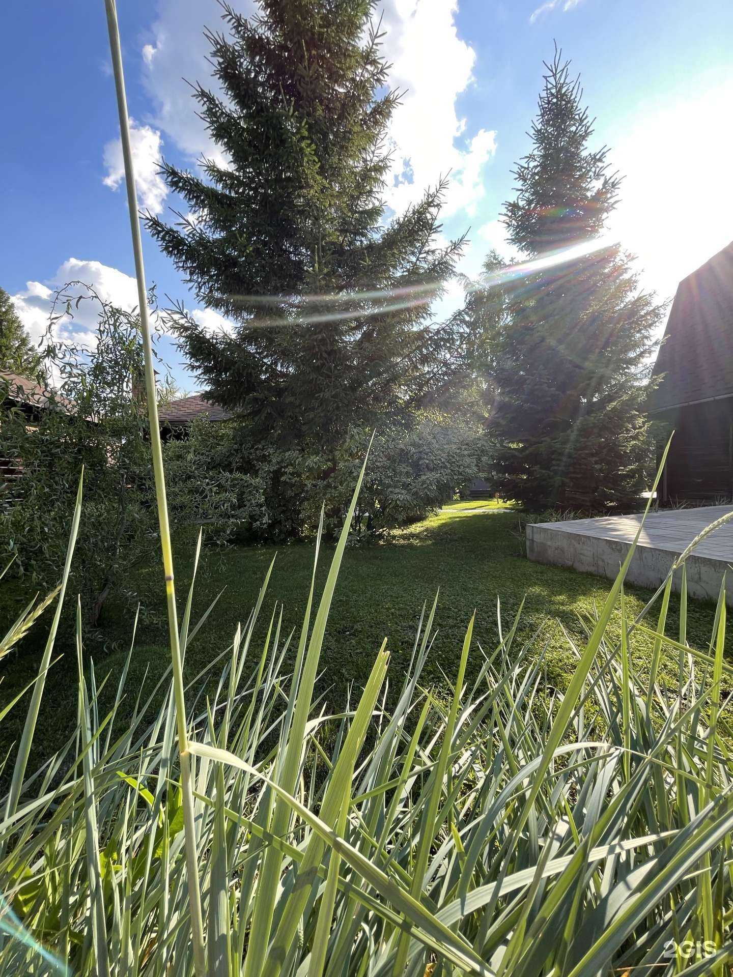 Отзывы на компанию Domvam_ в Новосибирске c фото