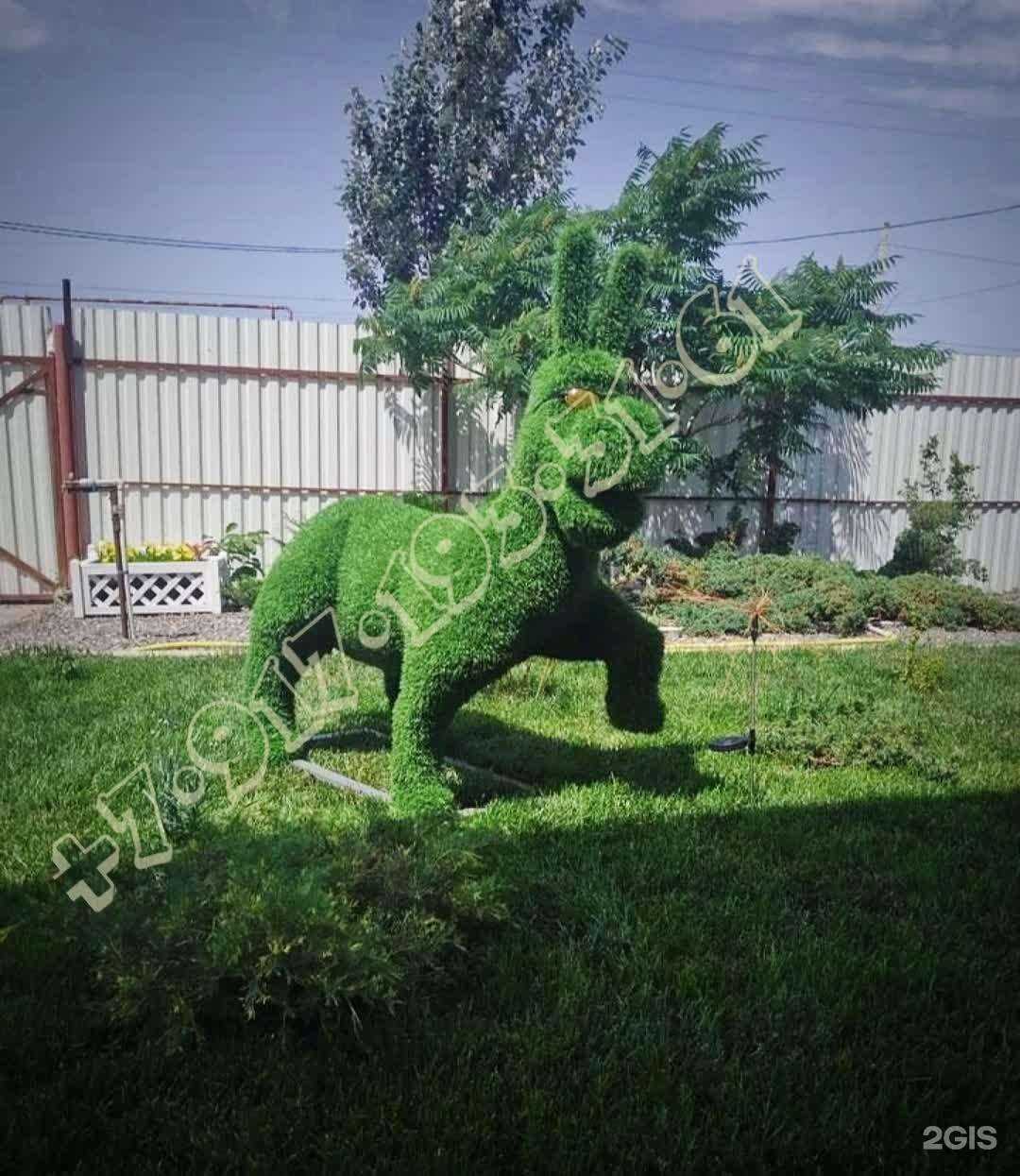 Отзывы на компанию Топиар в Астрахани c фото