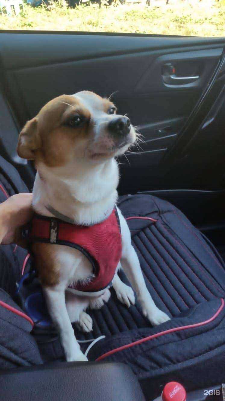 Отзывы на компанию Бульдог в Владивостоке c фото