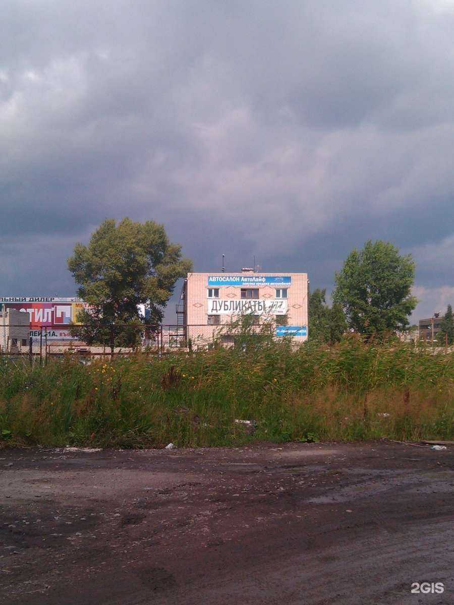 Отзывы на компанию Прокатная фирма в Кургане c фото - фотография 2 из 2