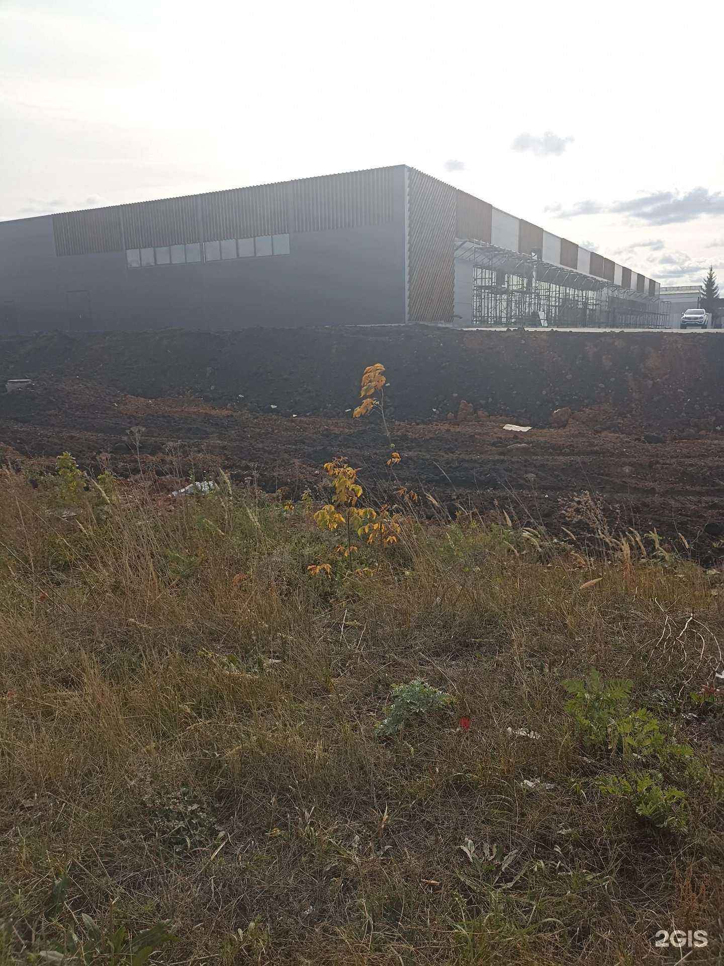 Отзывы на компанию Золотая рыбка в Елабуге c фото - фотография 2 из 2