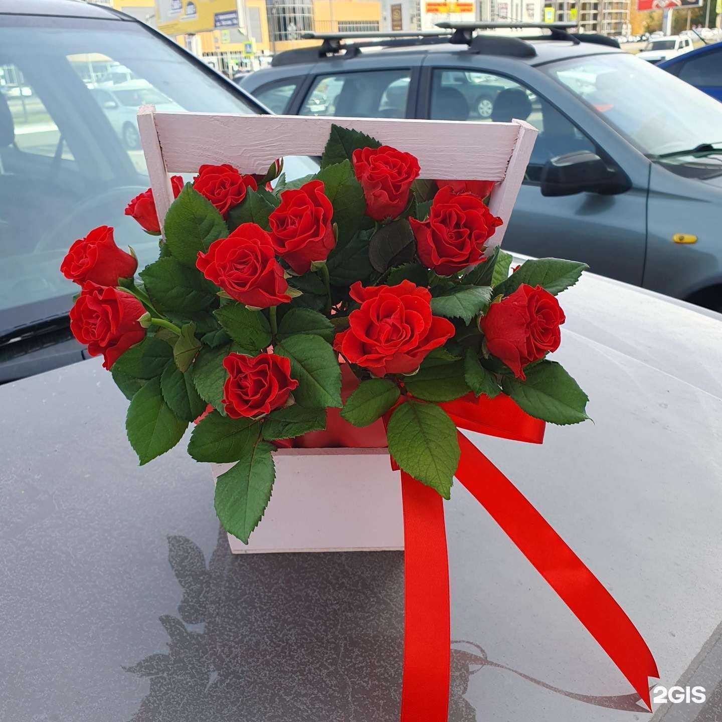 Отзывы на компанию Флора в г. Нижнекамск c фото