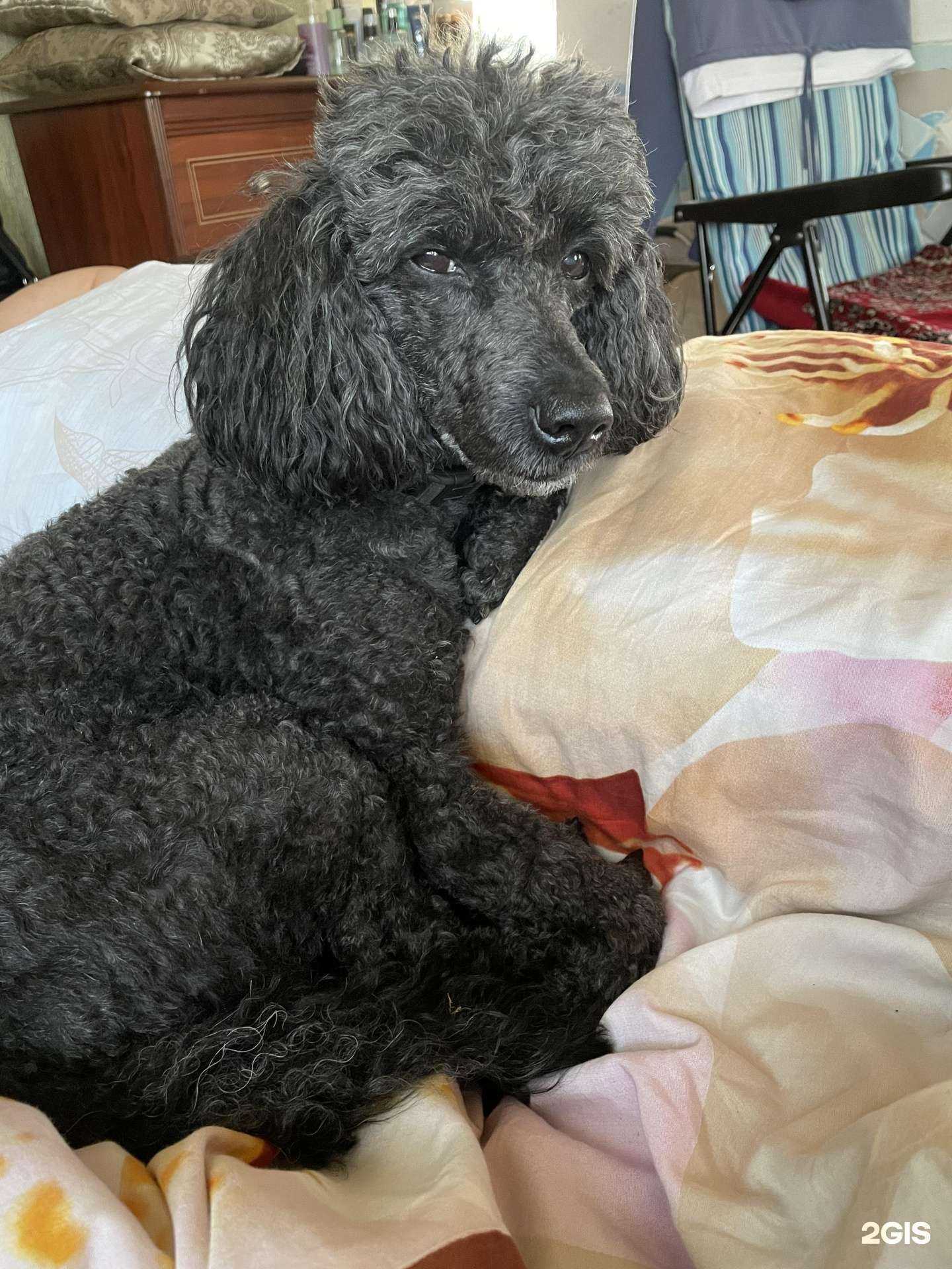 Отзывы на компанию Зеленоказанский в Киселёвске c фото