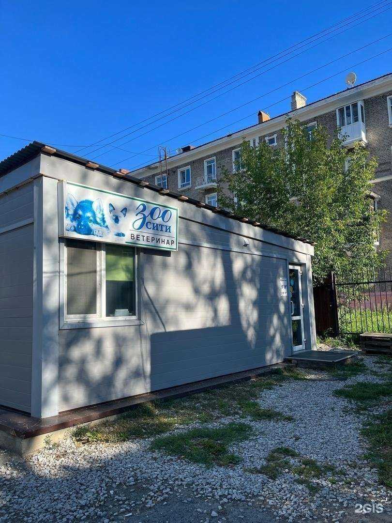 Отзывы на компанию Зоосити в г. Березники c фото