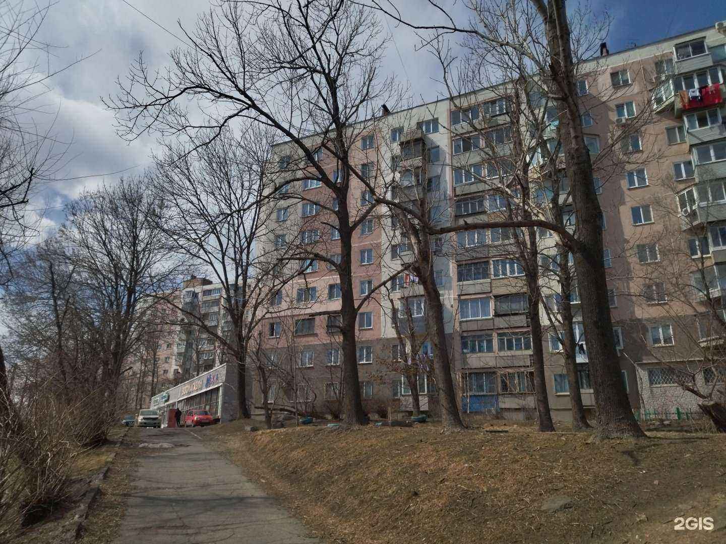 Отзывы на компанию Ovita.ru в Владивостоке c фото - фотография 2 из 2