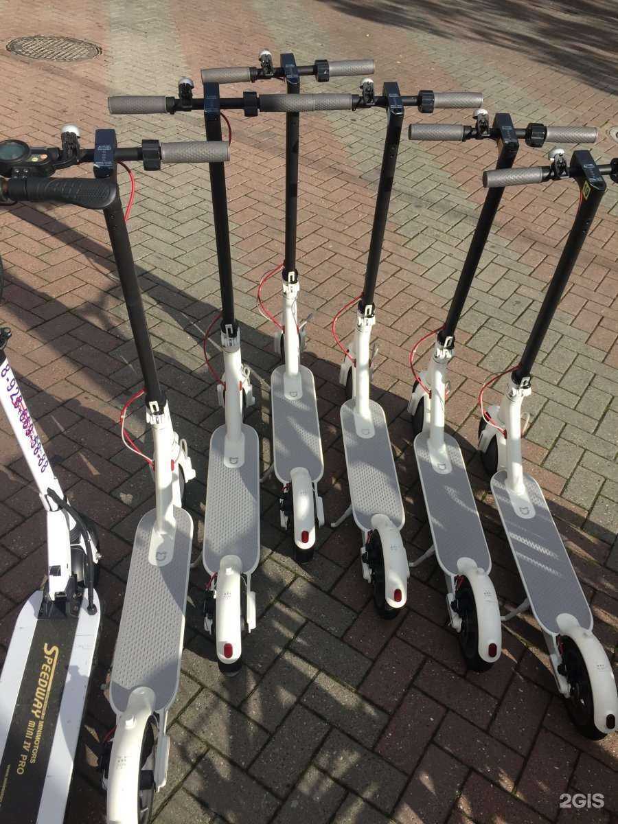 Отзывы на компанию Автомир в Геленджике c фото