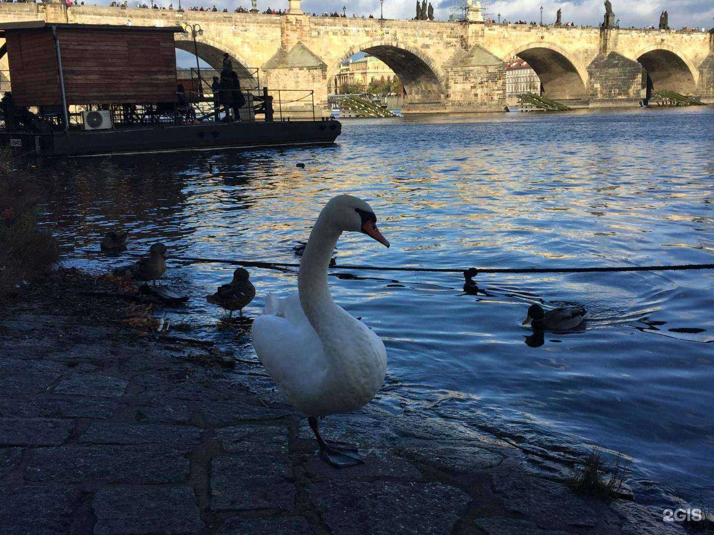 Отзывы на компанию Море Трэвел в Екатеринбурге c фото