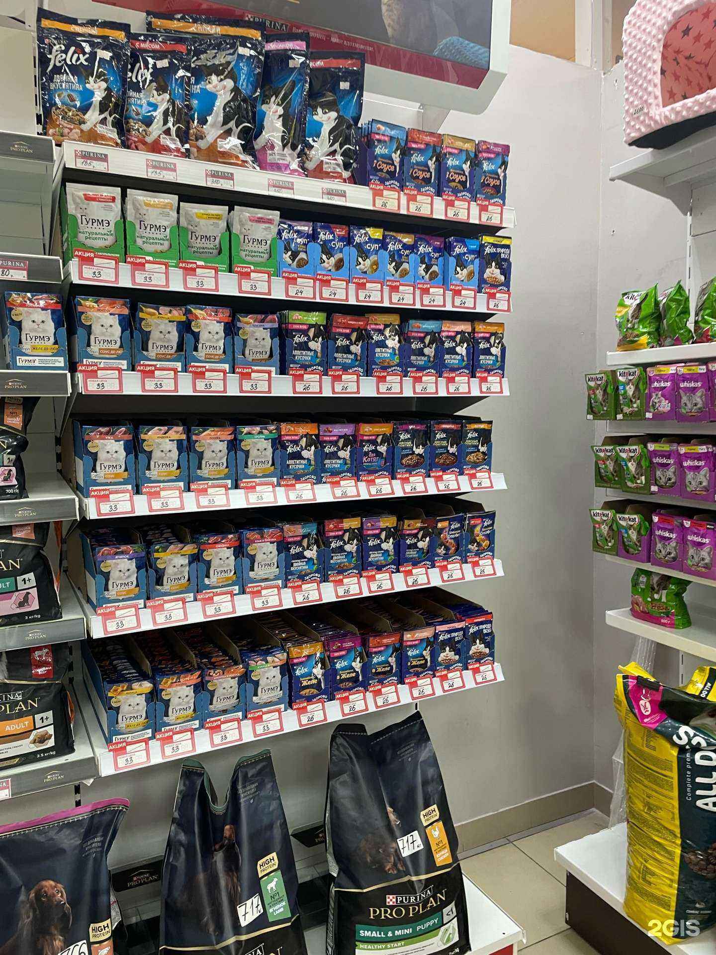 Отзывы на компанию Питомец в Абакане c фото