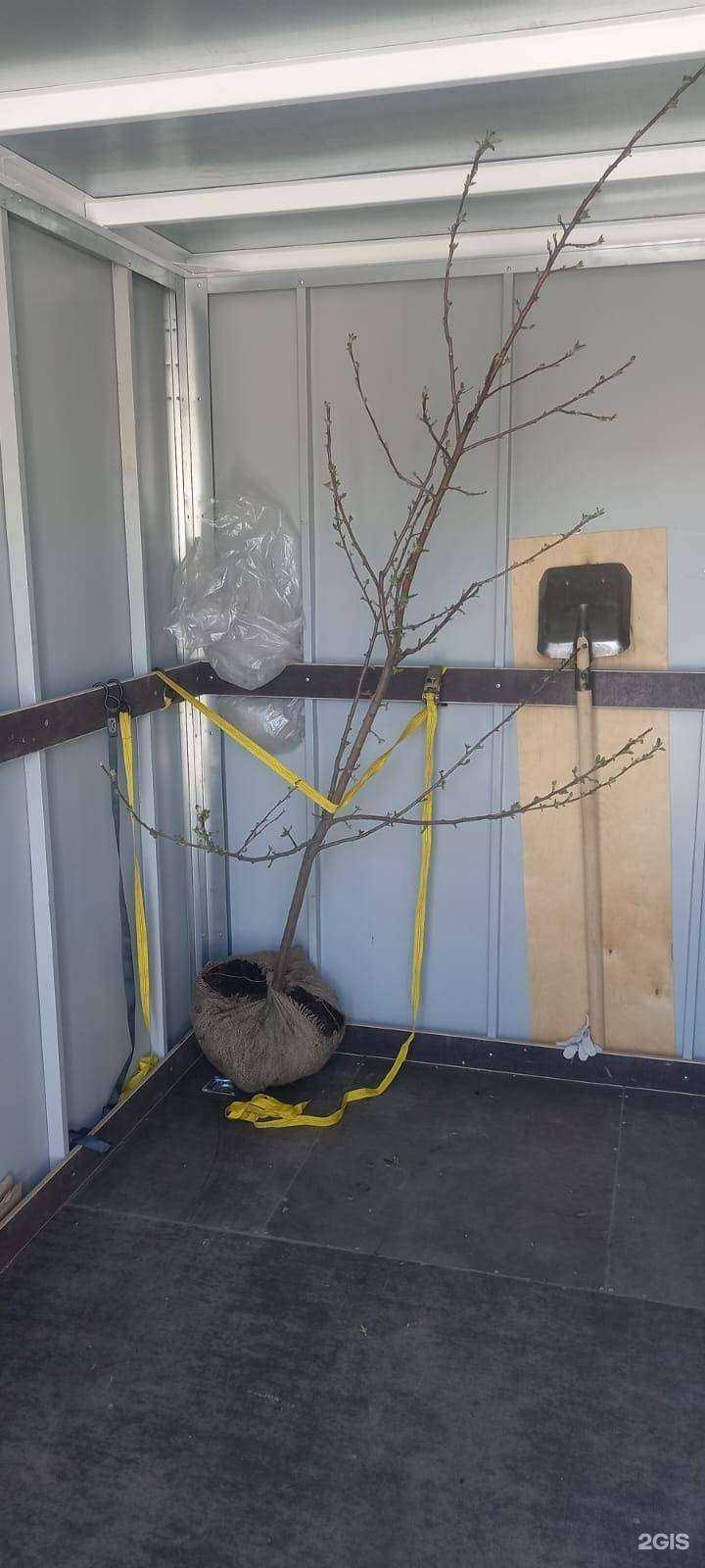 Отзывы на компанию Dandiko в Екатеринбурге c фото