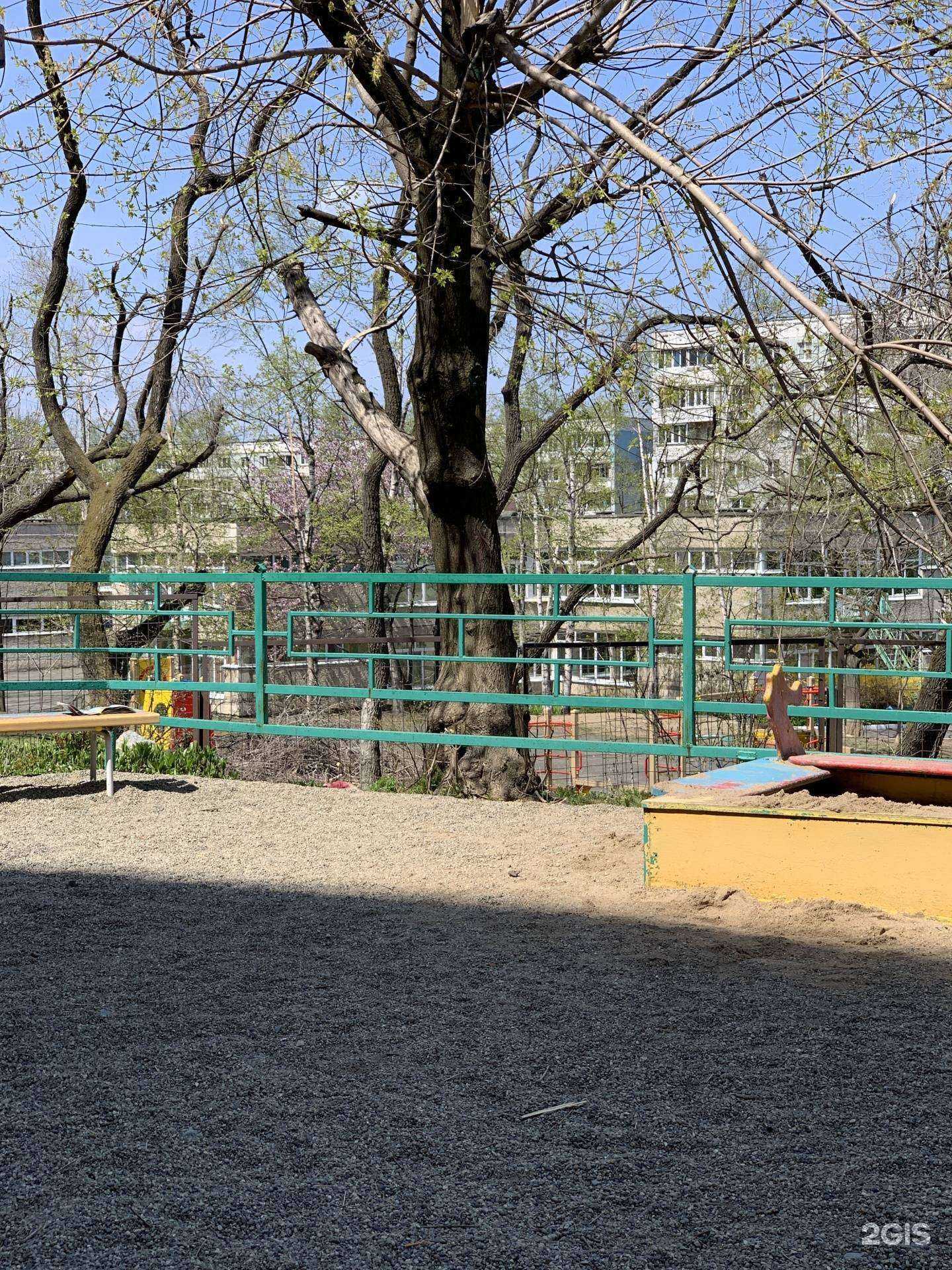 Отзывы на компанию Центр развития ребенка-детский сад №5 в г. Владивосток c фото