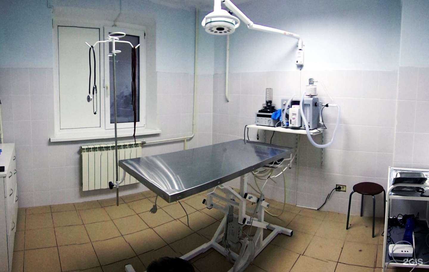 Отзывы на компанию ВетПлюс в Белгороде c фото