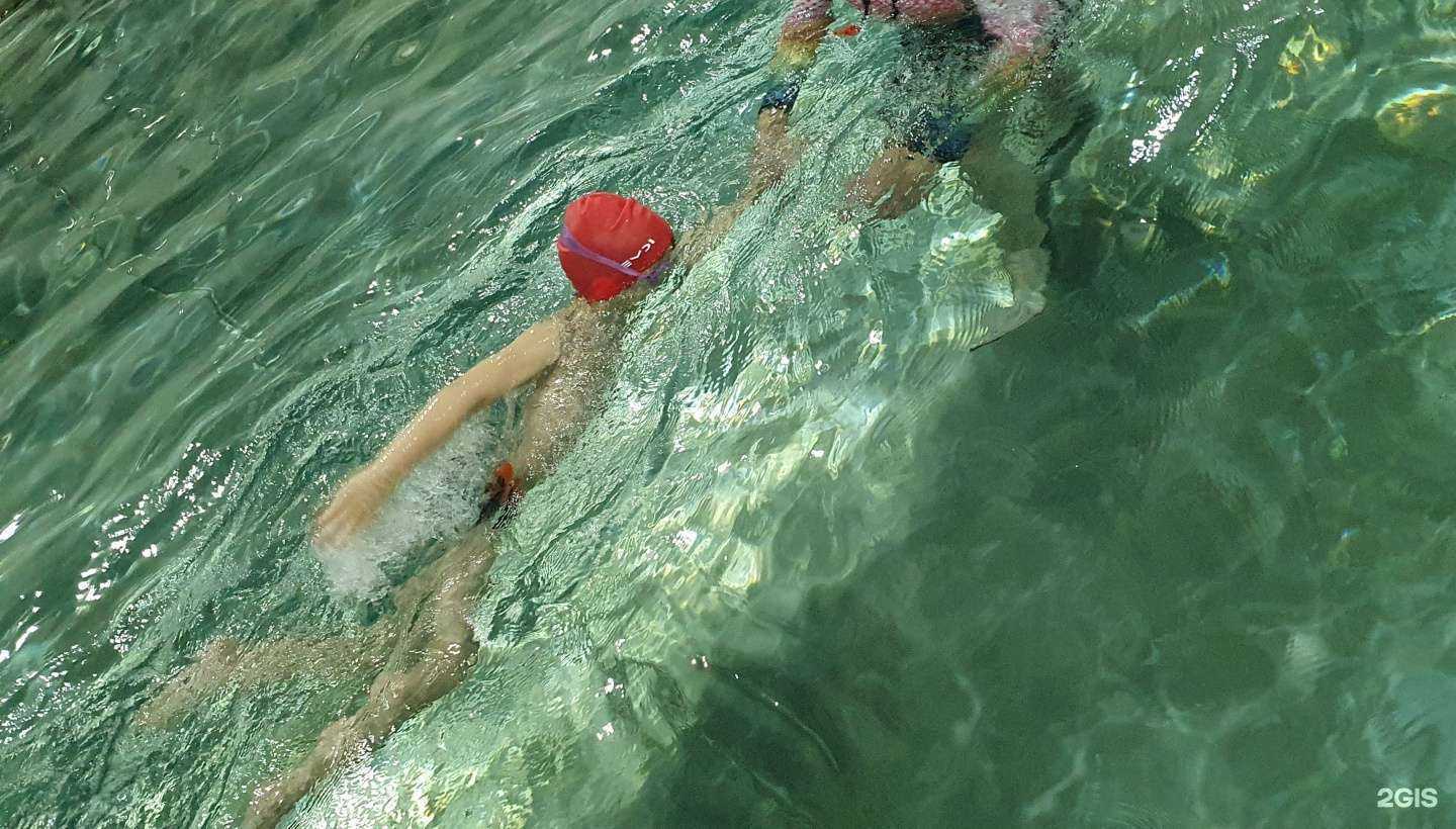 Отзывы на компанию Карасики в Якутске c фото