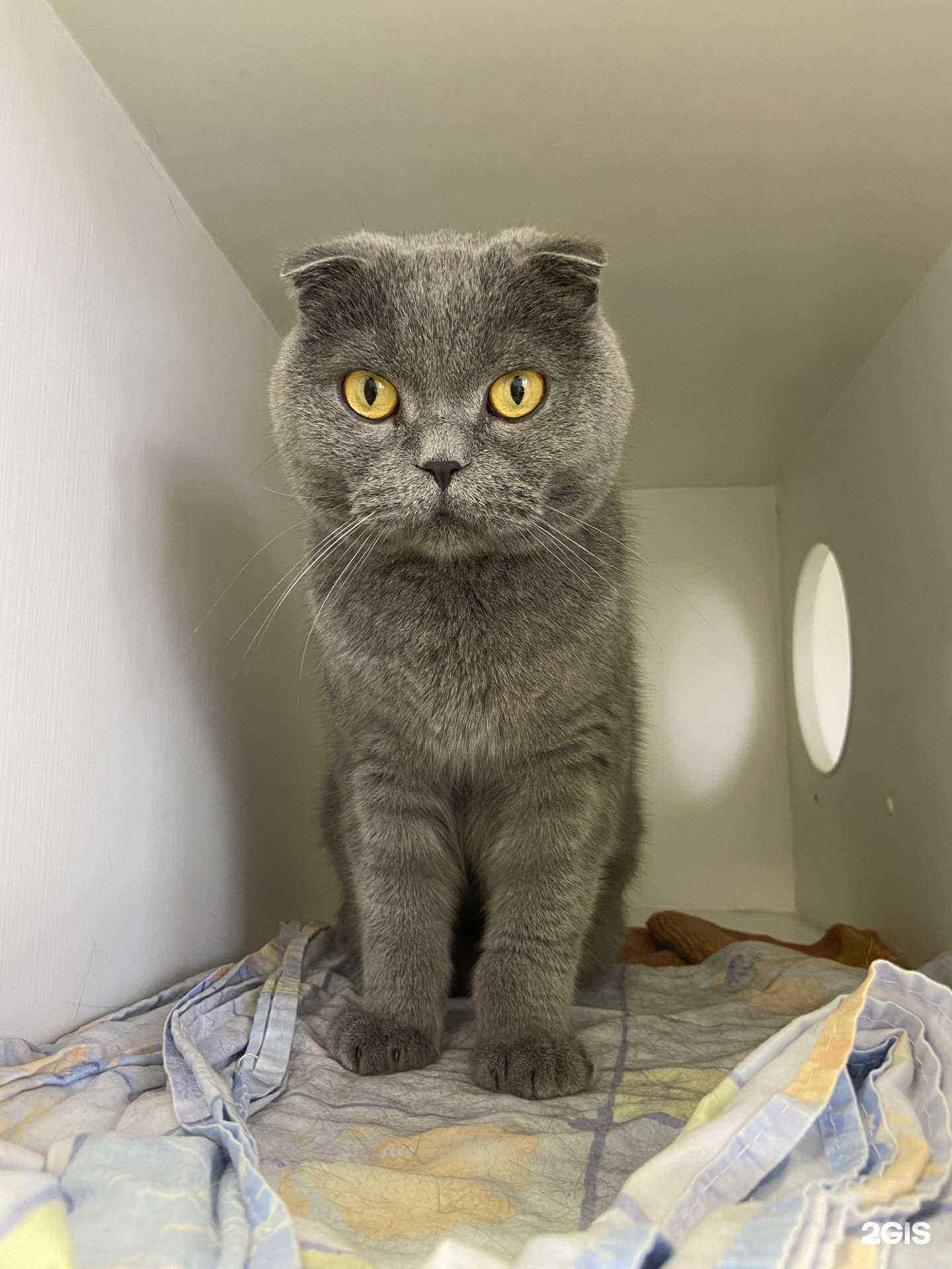 Отзывы на компанию Гарфилд в Долгопрудном c фото