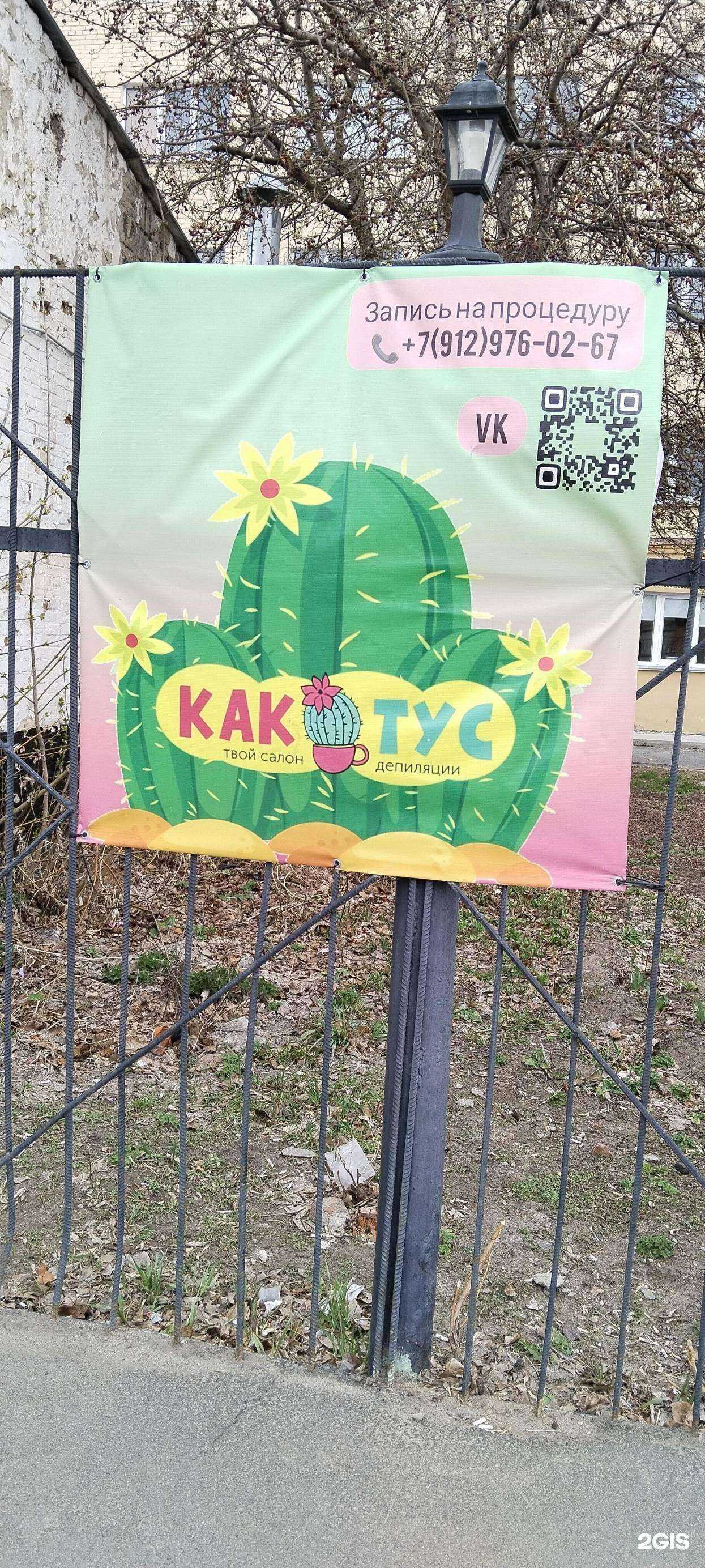 Отзывы на компанию Кактус в г. Шадринск c фото