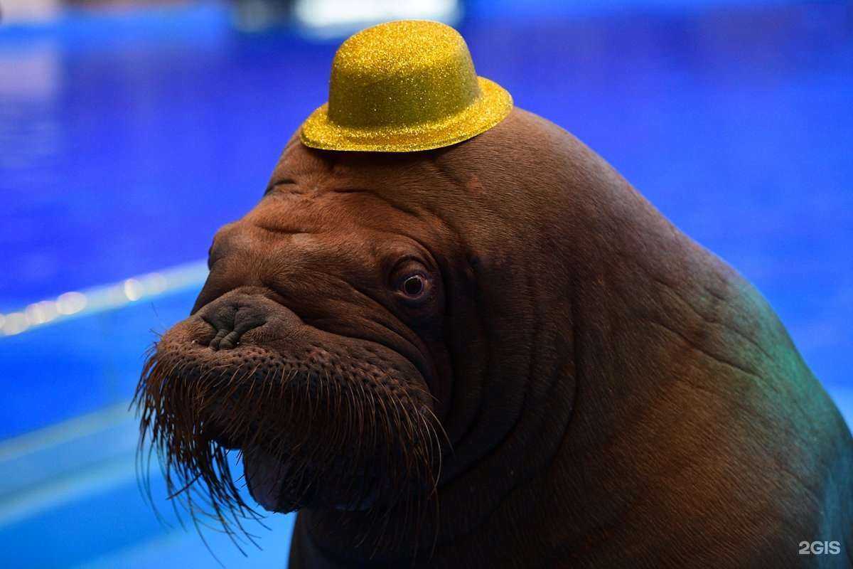 Отзывы на компанию Паллада в Находке c фото