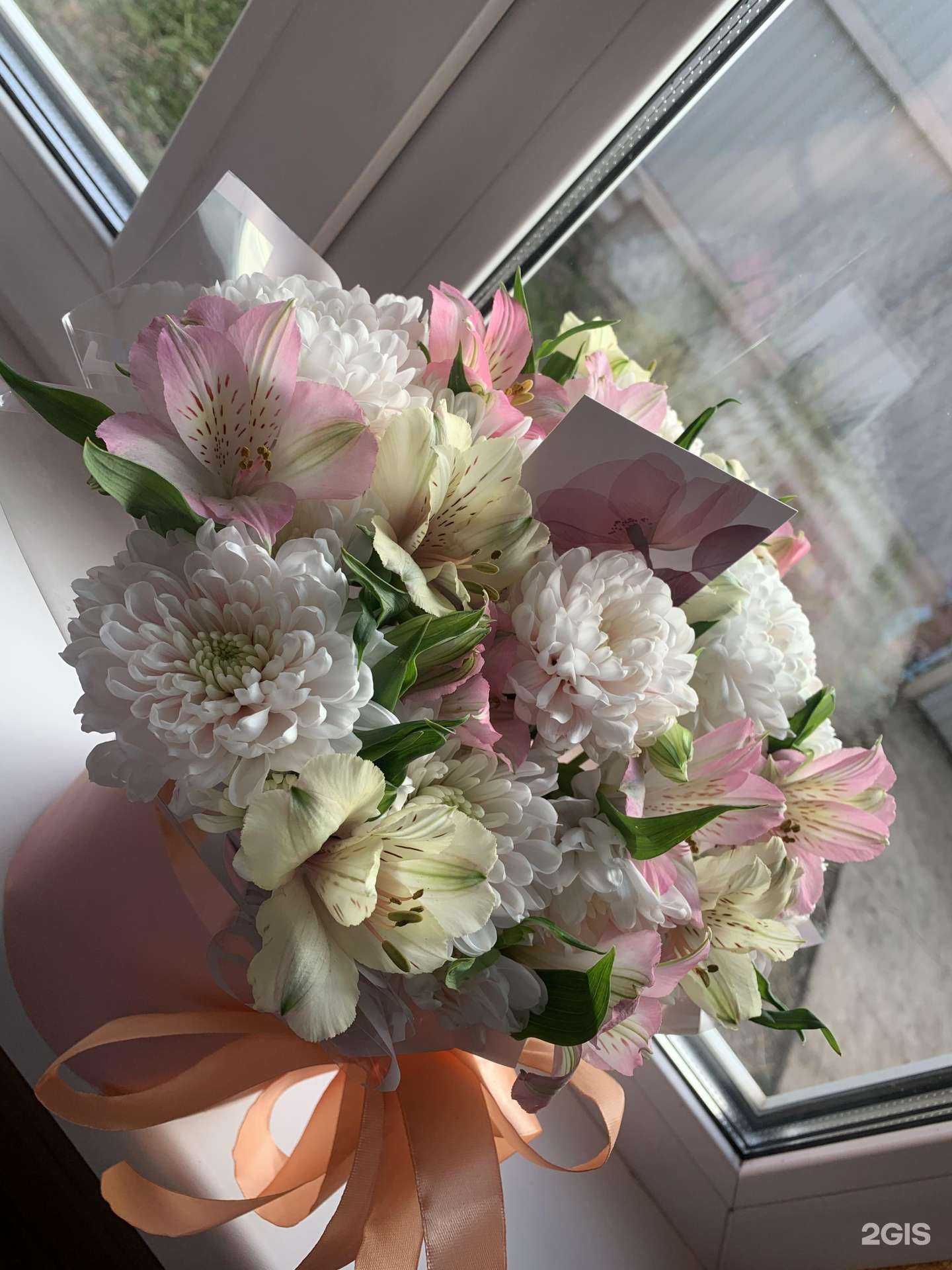 Отзывы на компанию Нежность в Иркутске c фото