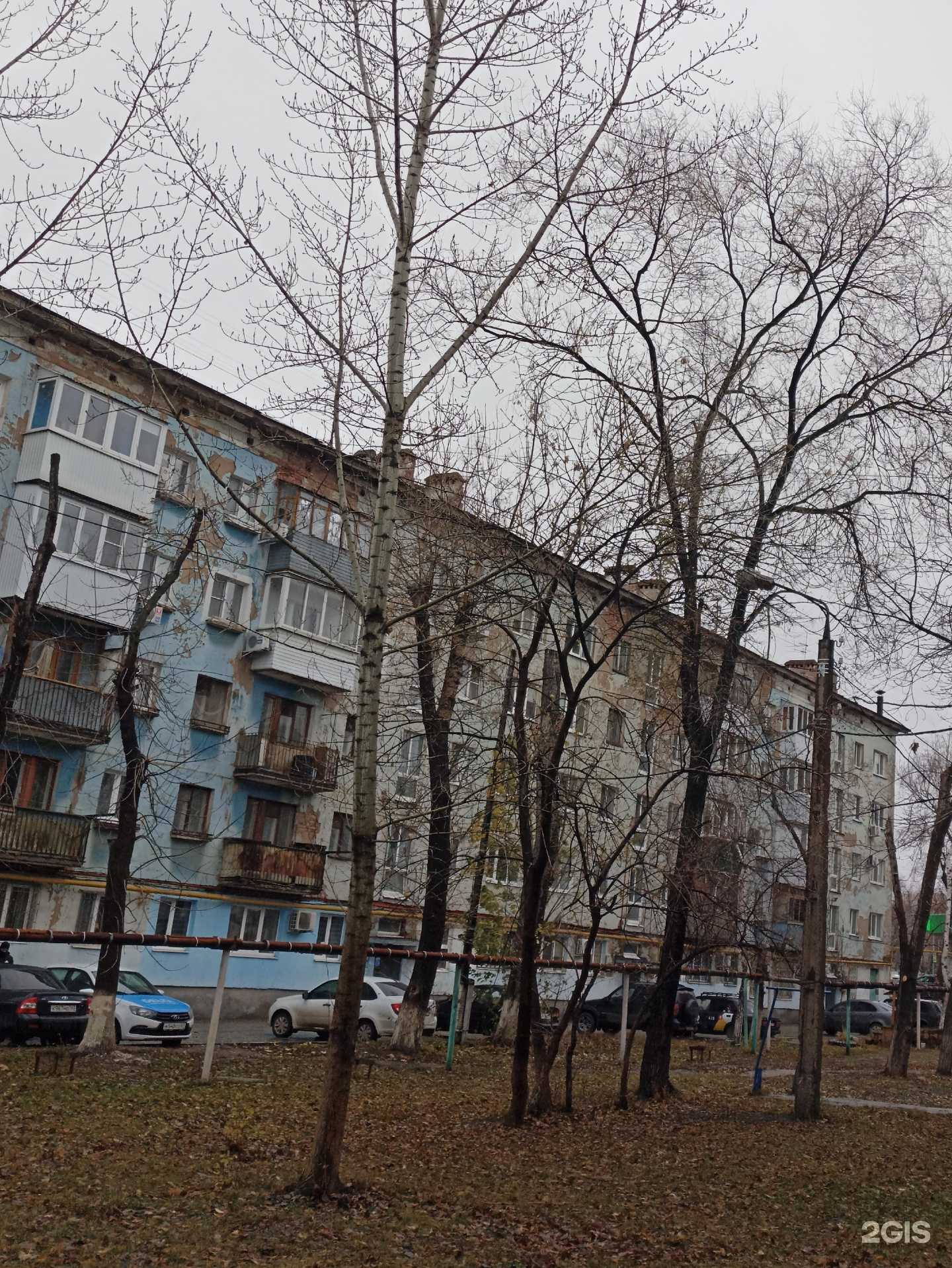 Отзывы на компанию Вита Экспресс в г. Самара c фото