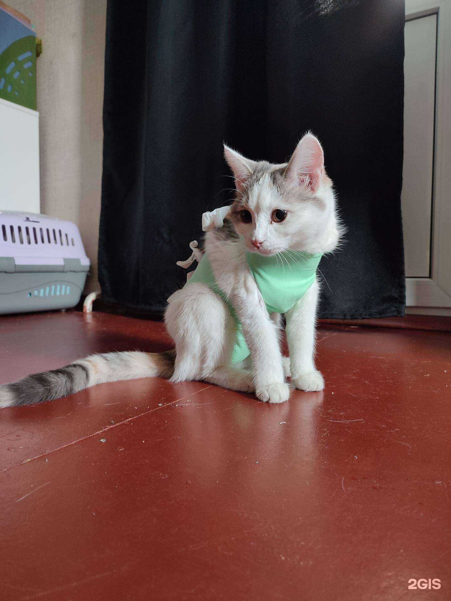 Отзывы на компанию СНВет в Копейске c фото