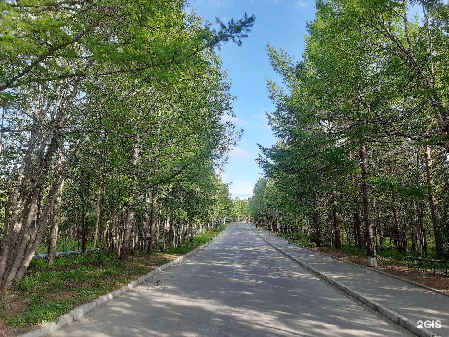 Отзывы на компанию Кольский в г. Мончегорск c фото