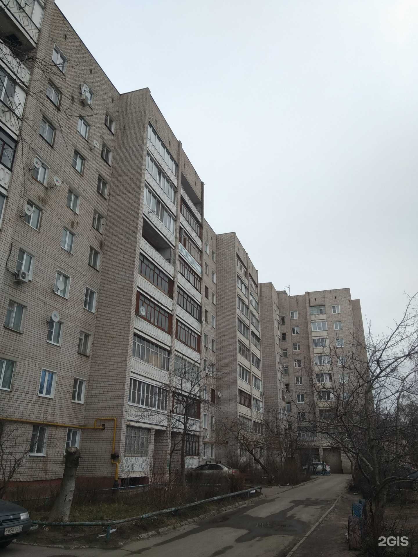 Отзывы на компанию Кенгуру в Иванове c фото - фотография 2 из 2