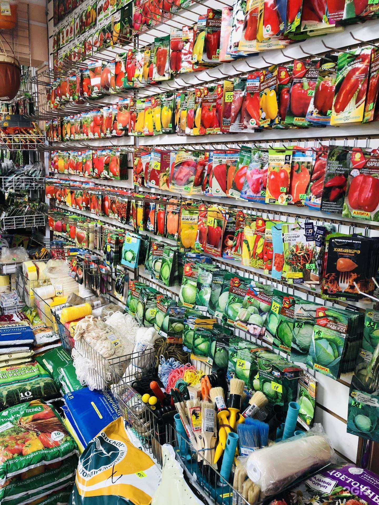 Отзывы на компанию Фазенда в Ачинске c фото