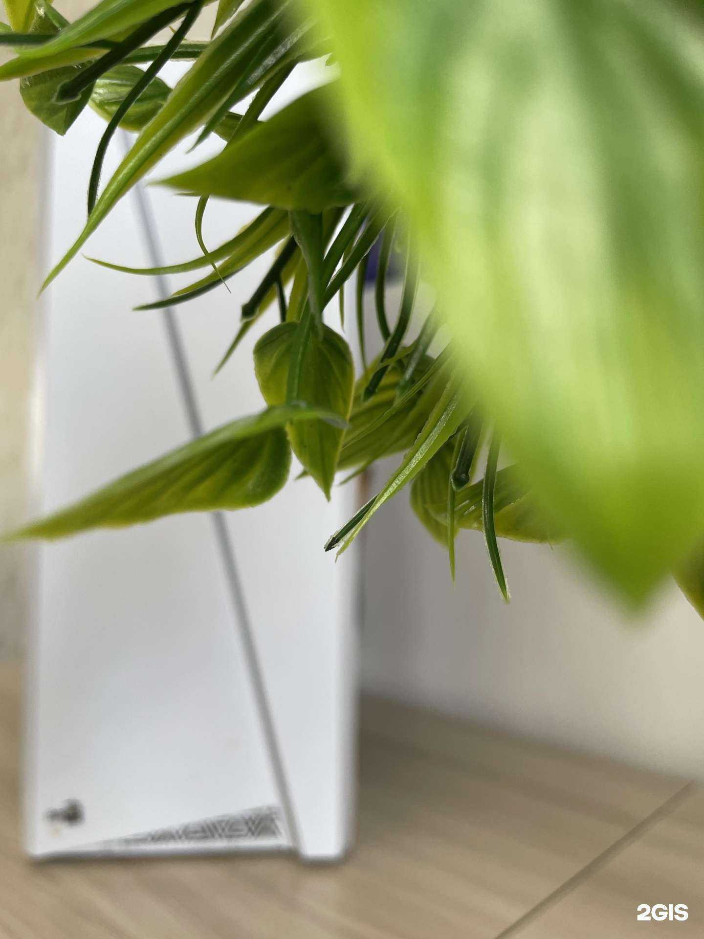 Отзывы на компанию Кибер Сервис в Перми c фото