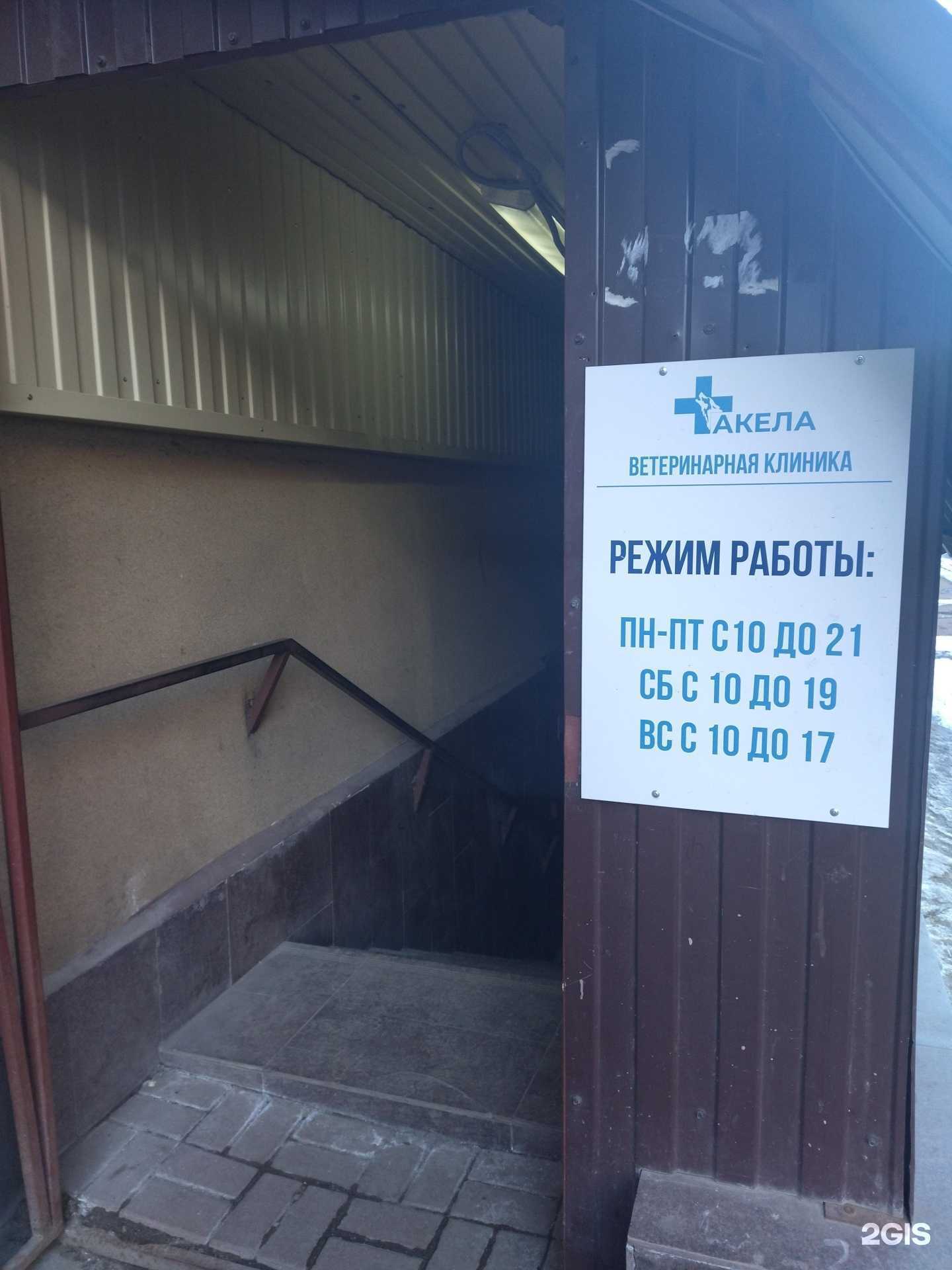 Отзывы на компанию Акела в г. Вологда c фото