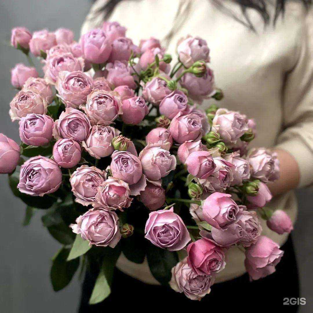 Отзывы на компанию Флора в Гусеве c фото