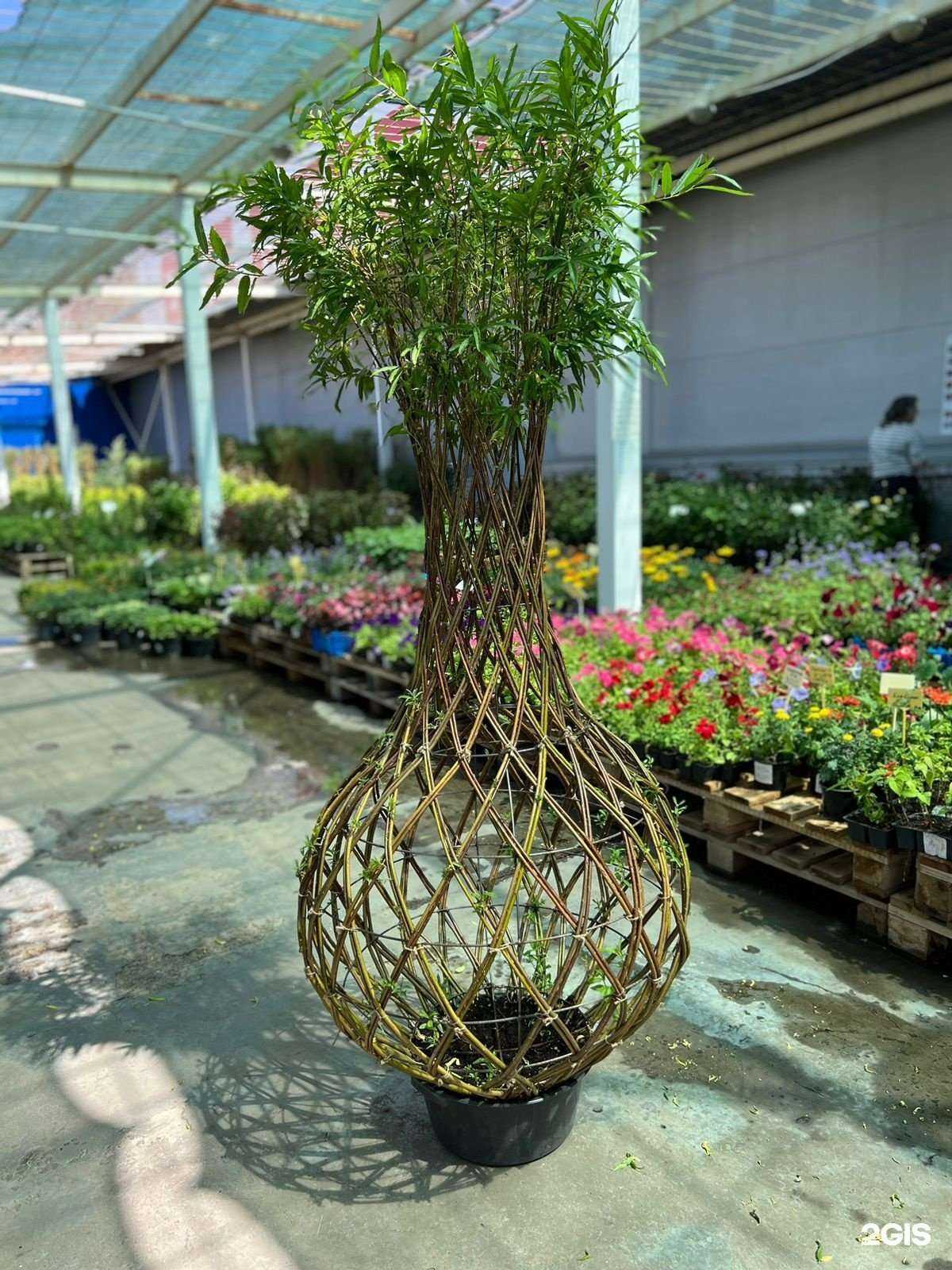 Отзывы на компанию Kuruch в Тольятти c фото