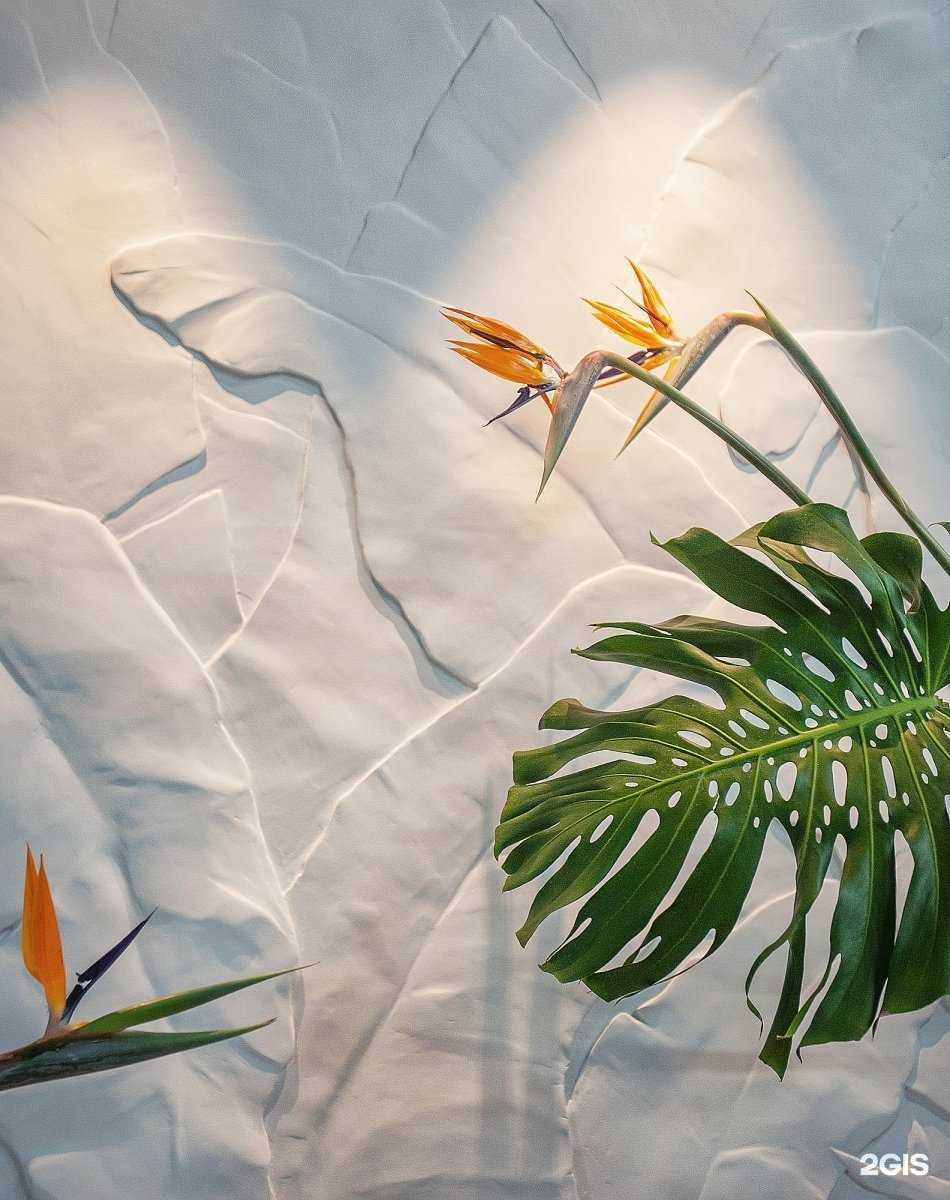 Отзывы на компанию Maybe coffee в Волжском c фото