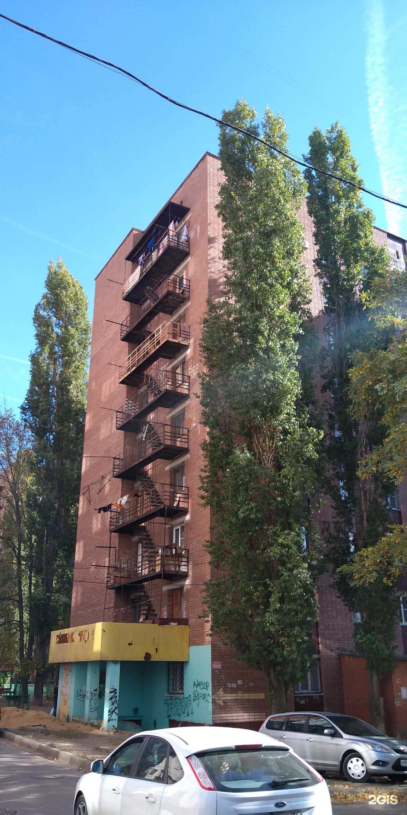 Отзывы на компанию Спортивная школа №19 в Воронеже c фото - фотография 2 из 2