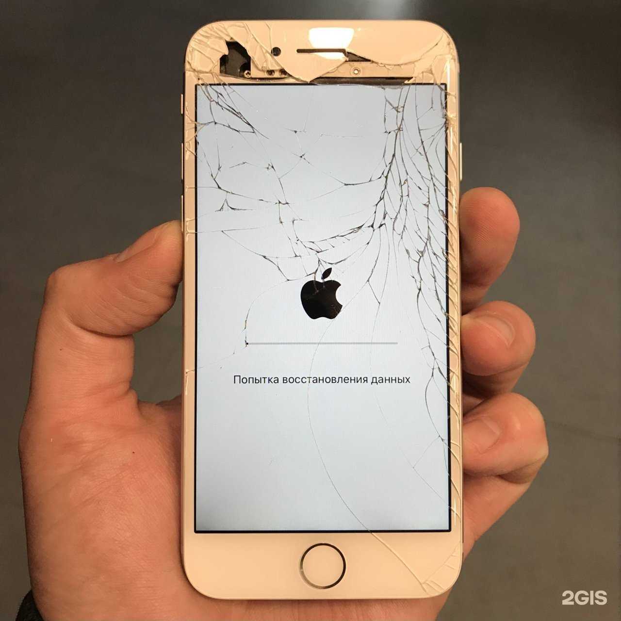 Отзывы на компанию Applesin в Уфе c фото