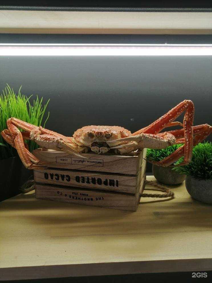 Отзывы на компанию Деликатес48 в Липецке c фото