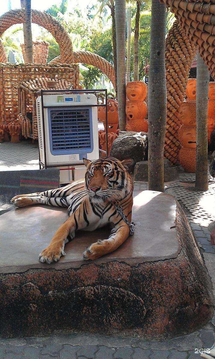 Отзывы на компанию Coral travel в Нижнем Тагиле c фото